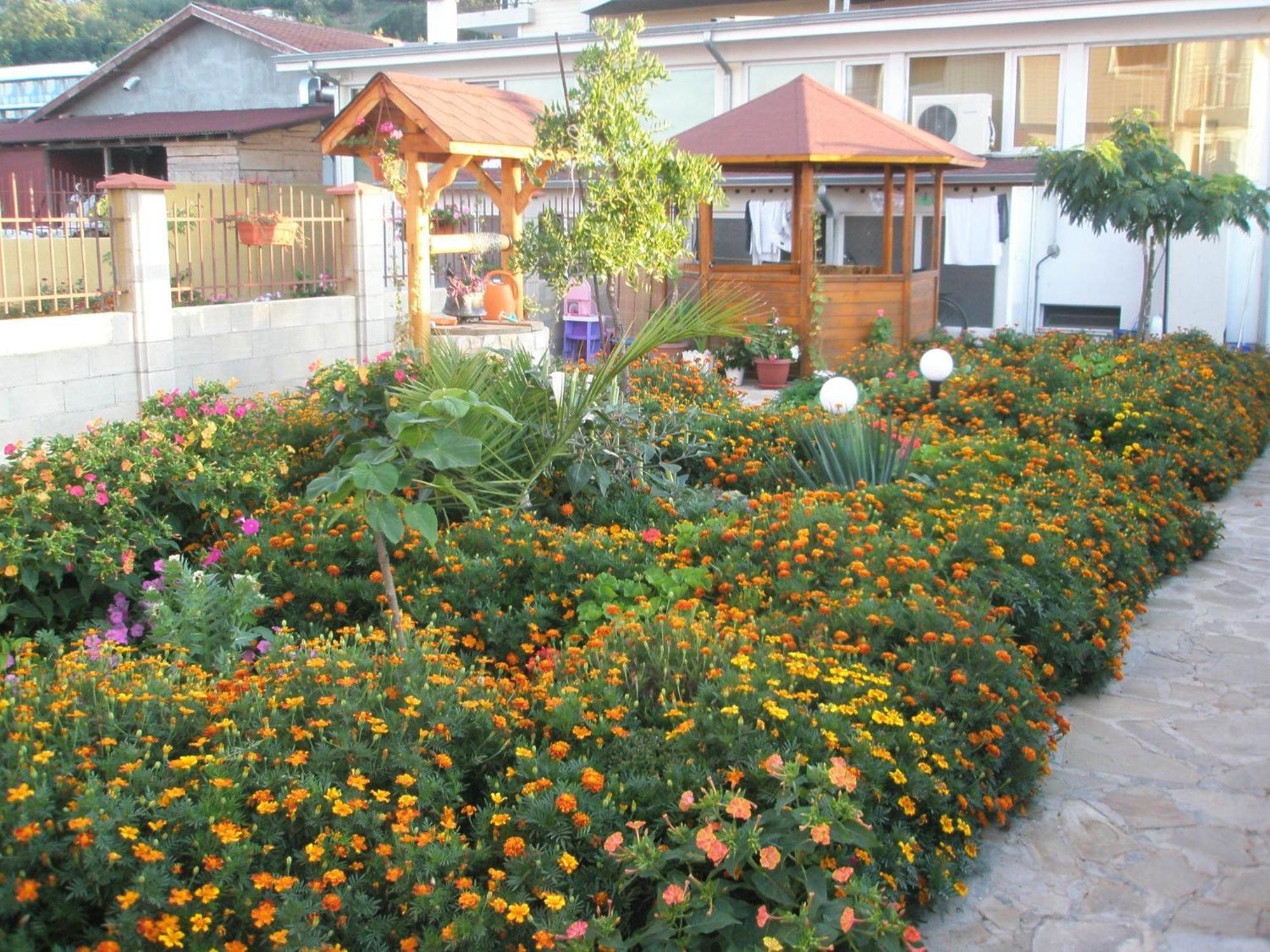 קרנבו Hotel Morski Dar מראה חיצוני תמונה